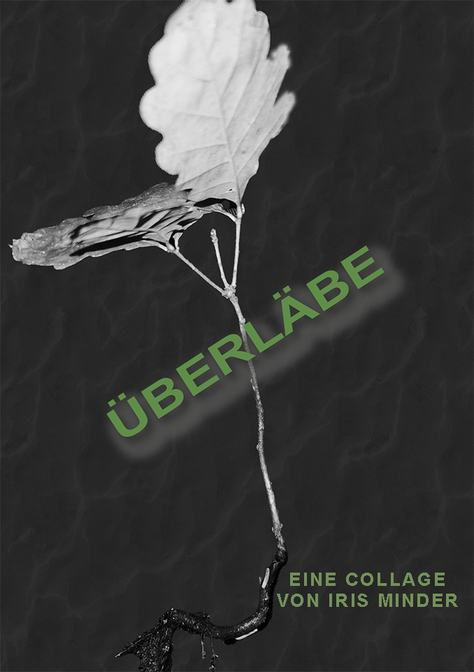 Logo Ueberlebae